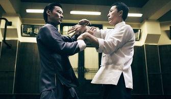 叶问爆料视频大全最新一集,揭秘功夫宗师的真实传奇与幕后故事  第2张